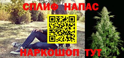 мдпв Моздок