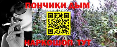 a pvp Можга