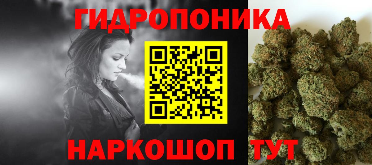 Бошки марихуана Bruce Banner  Шишки марихуана планчик  Марихуана семена  Конопля LSD WEED  Прокопьевск  Вход с VPN 